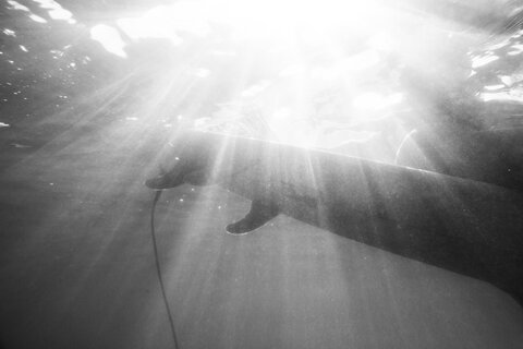 Surfer inside water photographed from uner water in Mexico