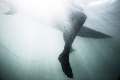 Surfer surfs Wave in Bocas del Toro, Mexico
